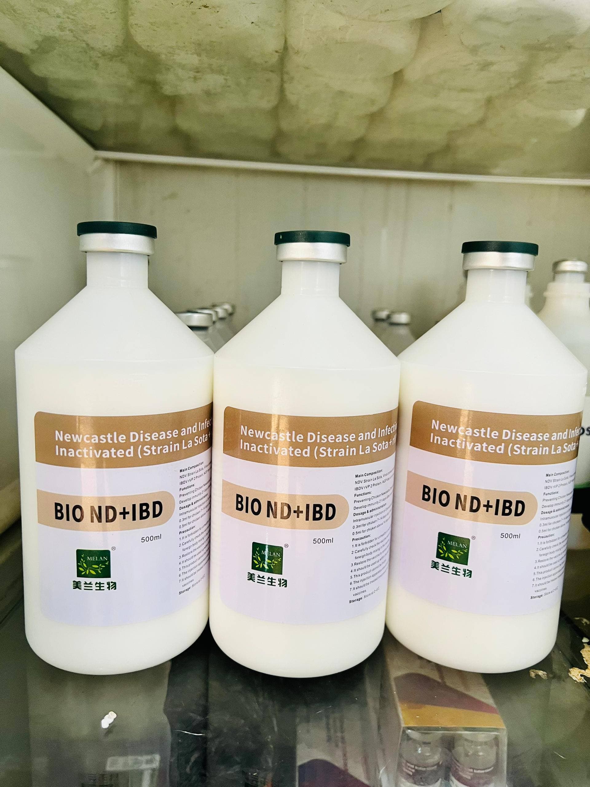 BIO ND+IBD