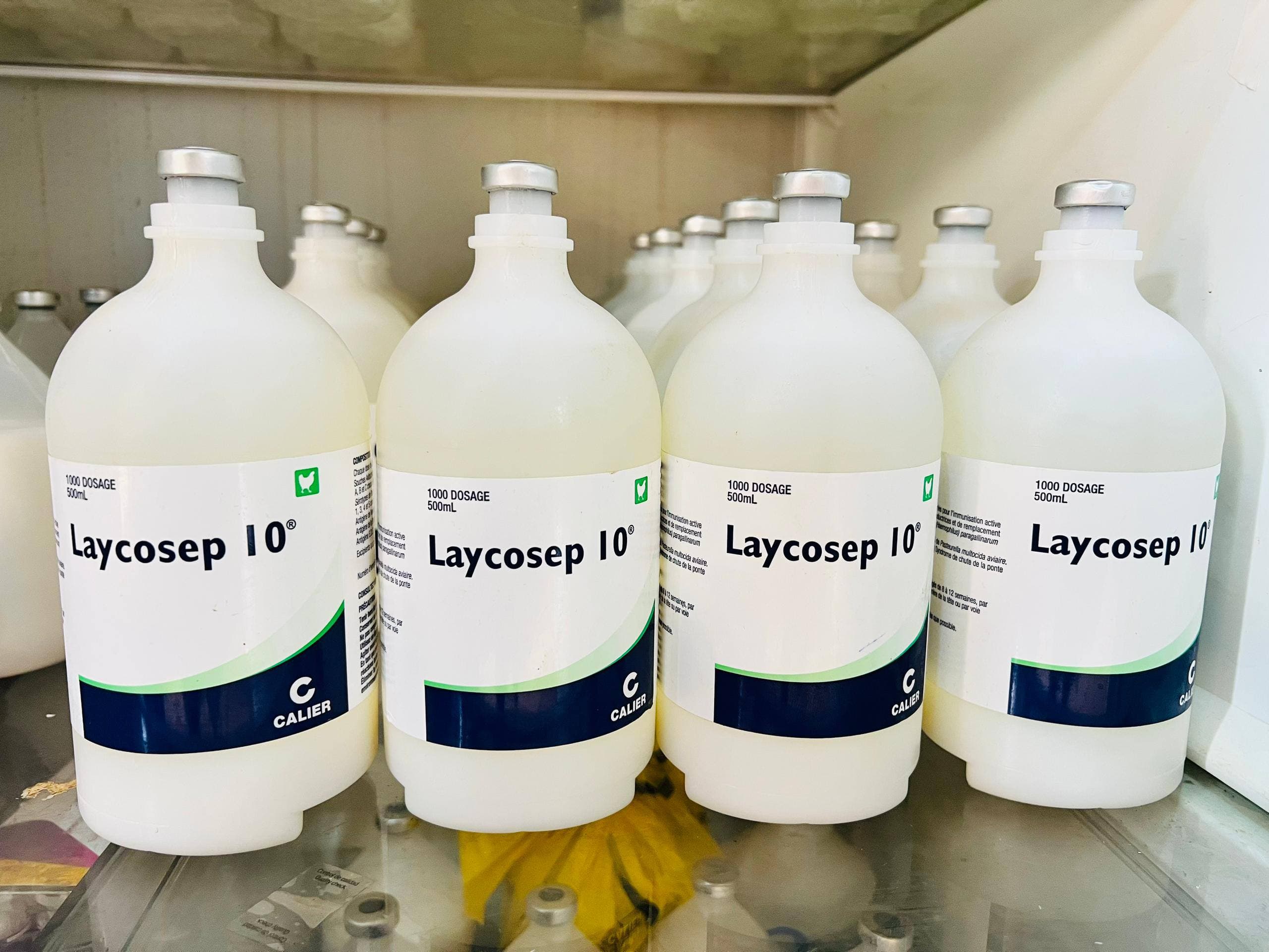 Laycosep 10