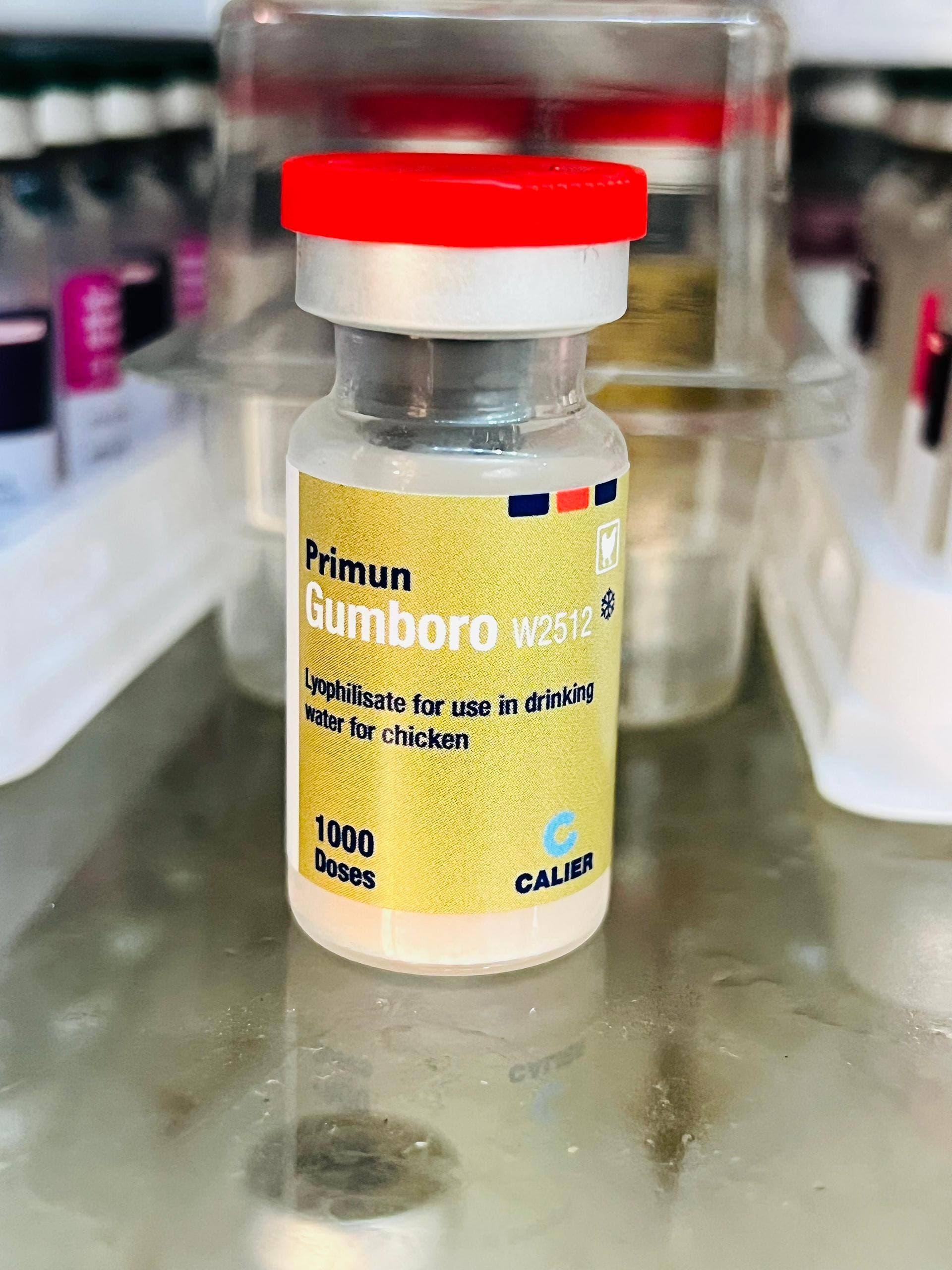Primun Gumboro W2512